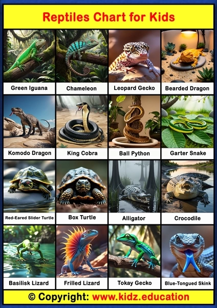 Reptiles Chart – 1 | Printable Educational Chart for Kids