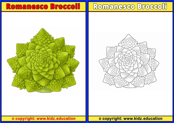 Romanesco Broccoli - Printable Coloring Page for Kids