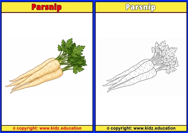 Parsnip - Printable Coloring Page for Kids