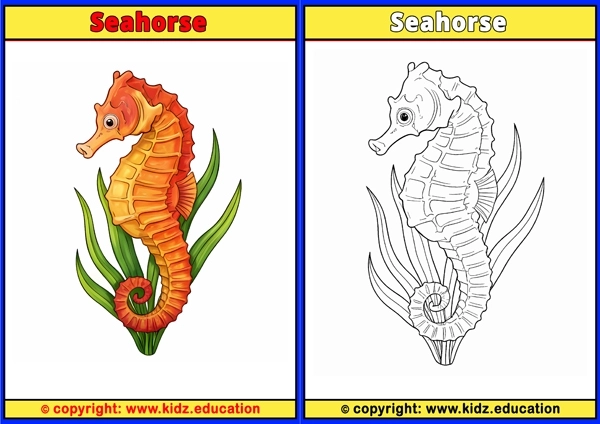 Seahorse - Printable Coloring Page for Kids