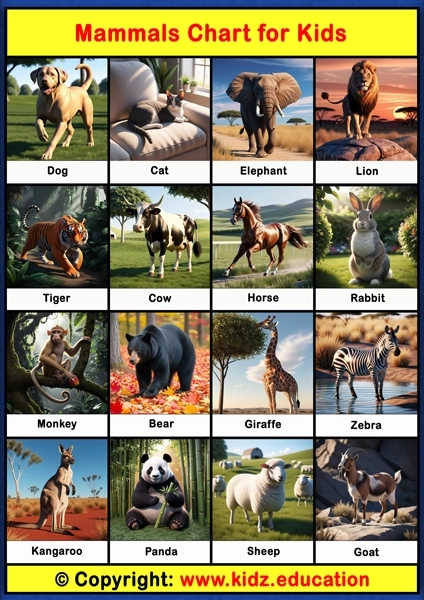 Mammals Chart - 1 | Printable Educational Chart for Kids