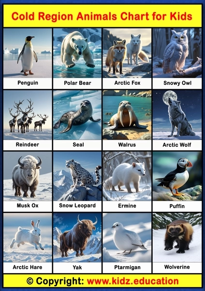 Cold Region Animals Chart - 1 | Printable Educational Chart for Kids