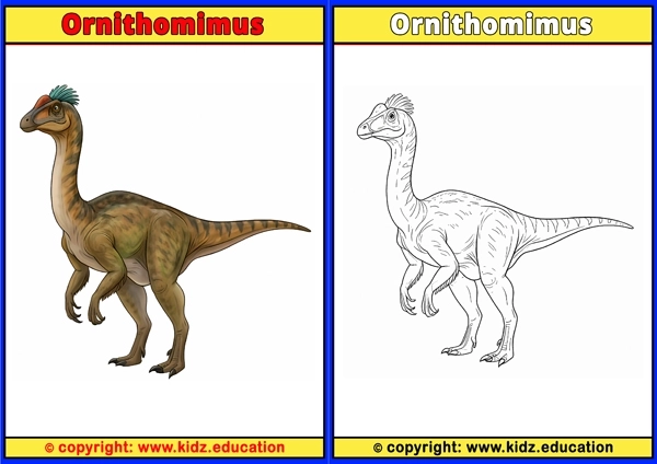 Ornithomimus - Printable Coloring Page for Kids