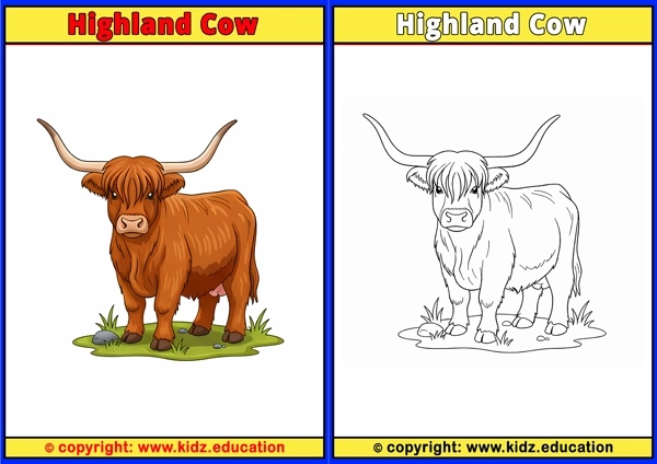 Highland Cow - Printable Coloring Page for Kids