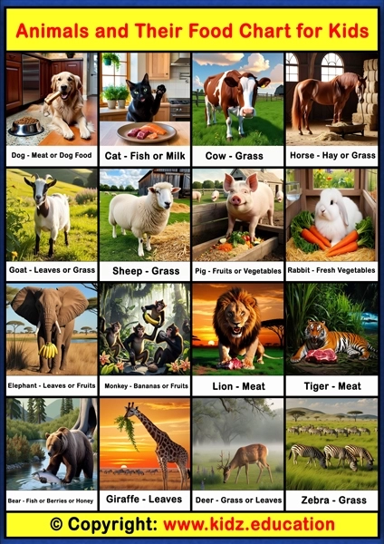 Animals and Their Food Chart - 1 | Printable Educational Chart for Kids