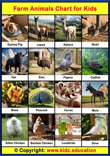 Farm Animals Chart - 2 | Printable Educational Chart for Kids