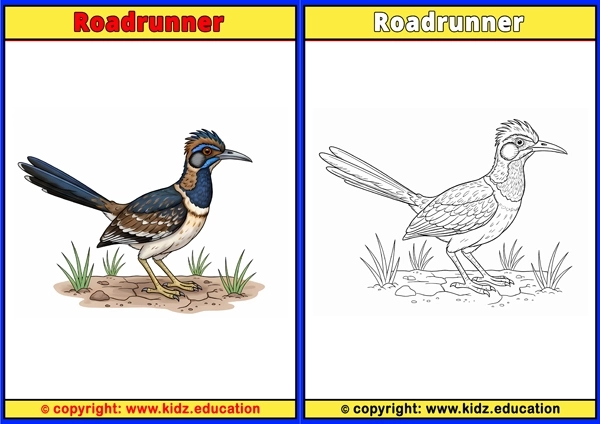 Rock Ptarmigan - Printable Coloring Page for Kids