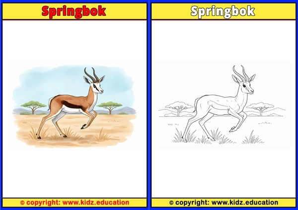 Springbok - Printable Coloring Page for Kids