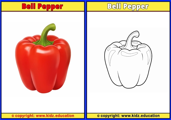 Bell Pepper - Printable Coloring Page for Kids