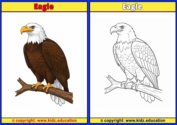 Eagle - Printable Coloring Page for Kids