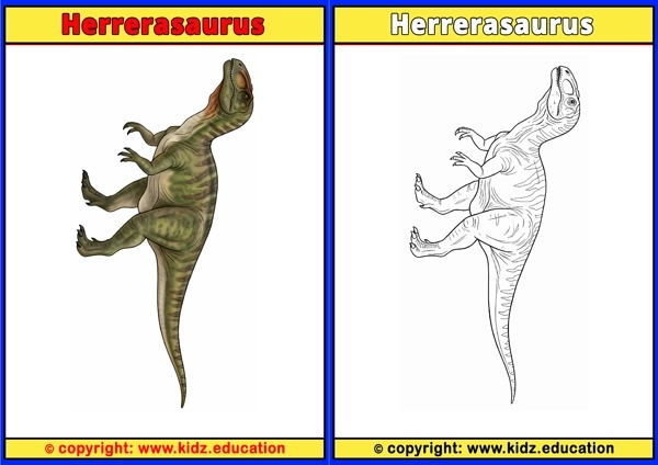 Herrerasaurus - Printable Coloring Page for Kids