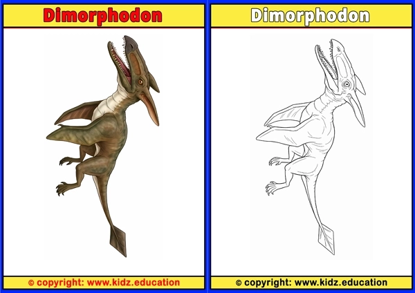 Dimorphodon - Printable Coloring Page for Kids