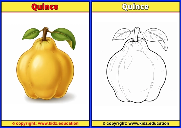 Quince - Printable Coloring Page for Kids