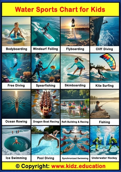Water Sports Chart - 2 | Printable Educational Chart for Kids
