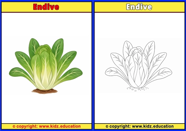 Endive - Printable Coloring Page for Kids