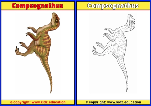 Compsognathus - Printable Coloring Page for Kids