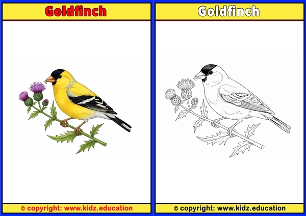 Goose - Printable Coloring Page for Kids