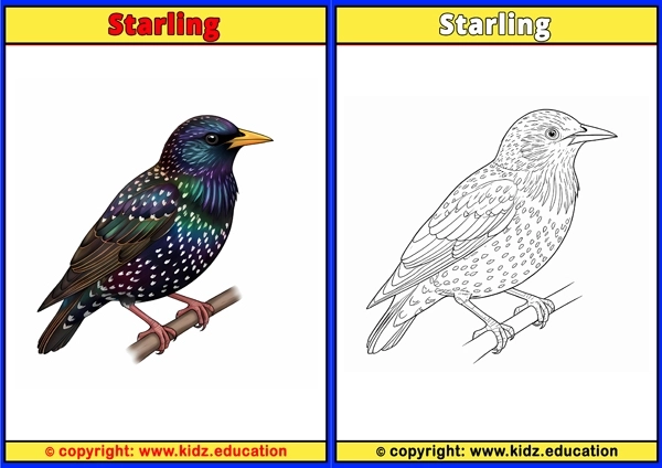 Stilt - Printable Coloring Page for Kids