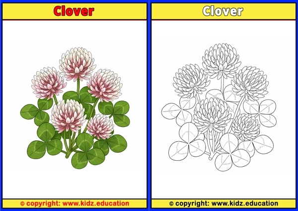 Clover - Printable Coloring Page for Kids