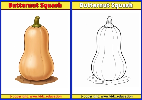 Butternut Squash - Printable Coloring Page for Kids
