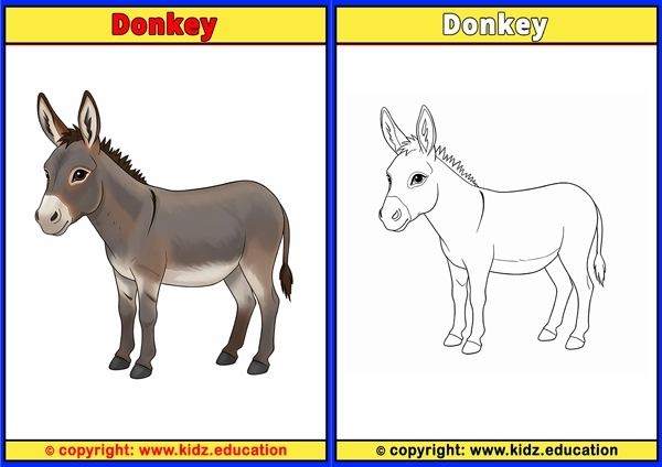 Donkey - Printable Coloring Page for Kids