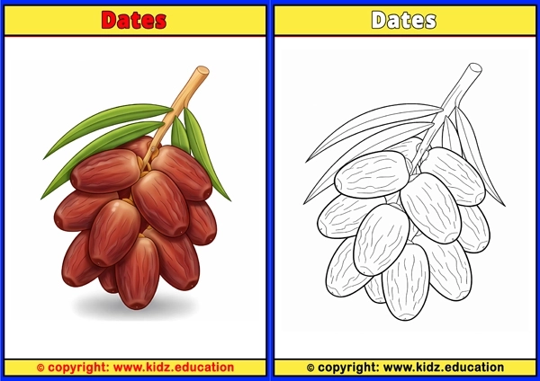 Dates  - Printable Coloring Page for Kids