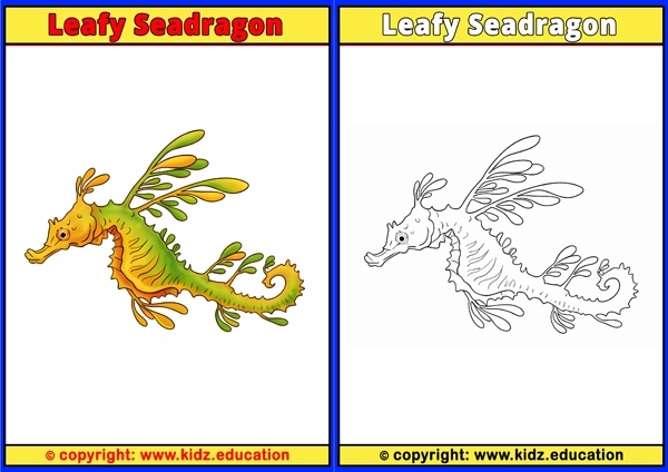 Leafy Seadragon - Printable Coloring Page for Kids