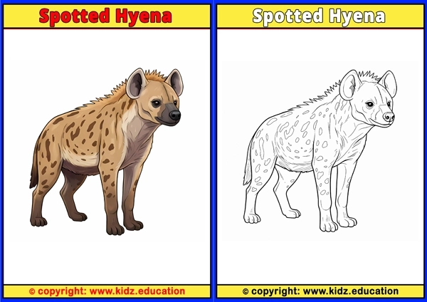 Spotted Hyena - Printable Coloring Page for Kids