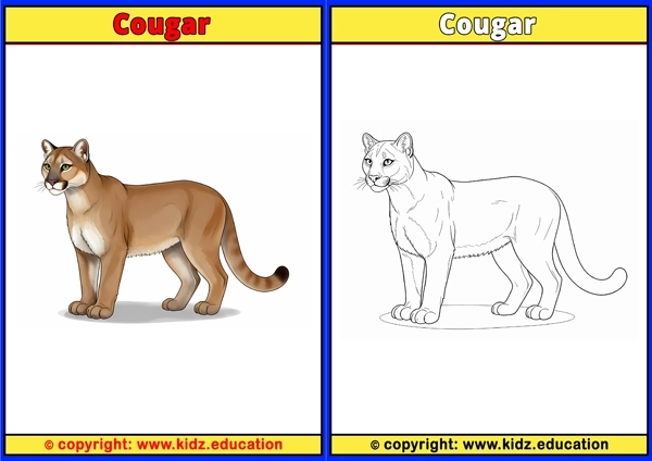 Cougar - Printable Coloring Page for Kids