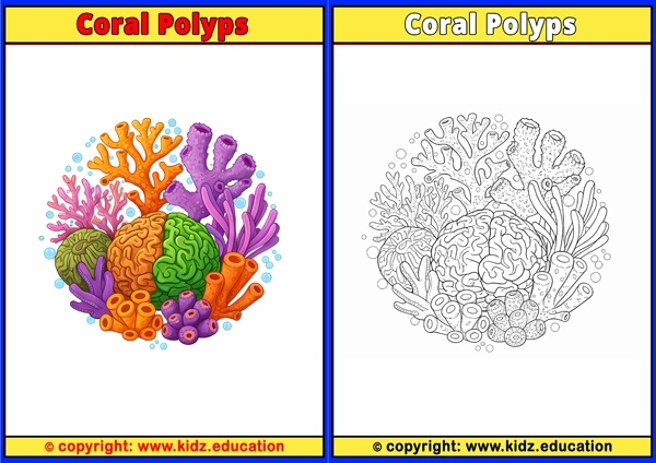 Coral Polyps - Printable Coloring Page for Kids