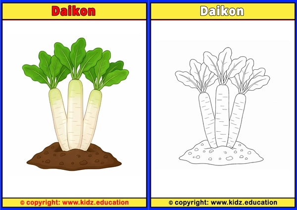 Daikon - Printable Coloring Page for Kids
