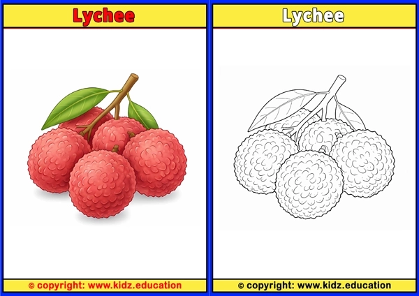 Lychee - Printable Coloring Page for Kids