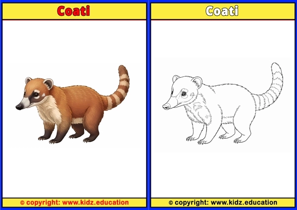 Coati - Printable Coloring Page for Kids