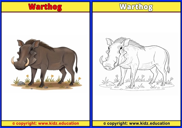 Warthog - Printable Coloring Page for Kids