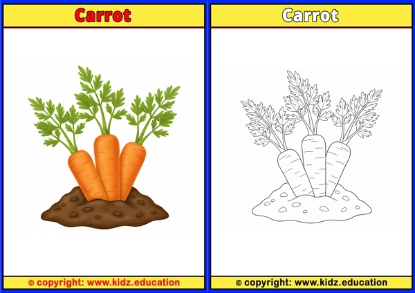 Carrot - Printable Coloring Page for Kids