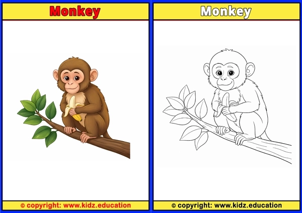 Monkey - Printable Coloring Page for Kids