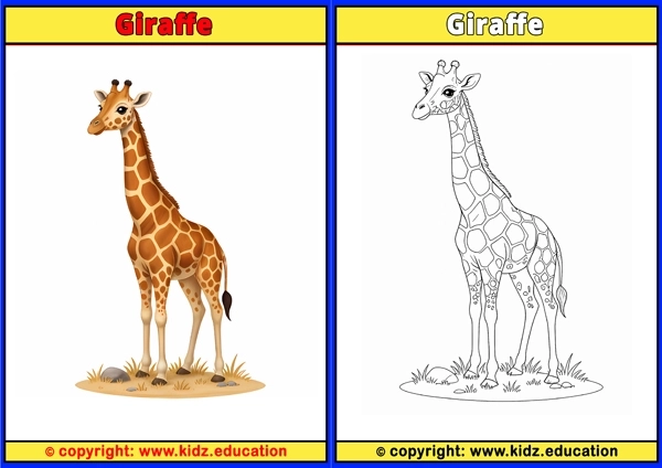 Giraffe - Printable Coloring Page for Kids