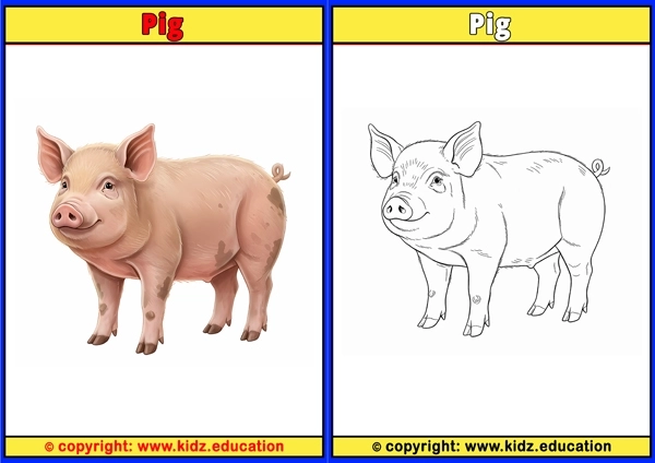 Pig - Printable Coloring Page for Kids