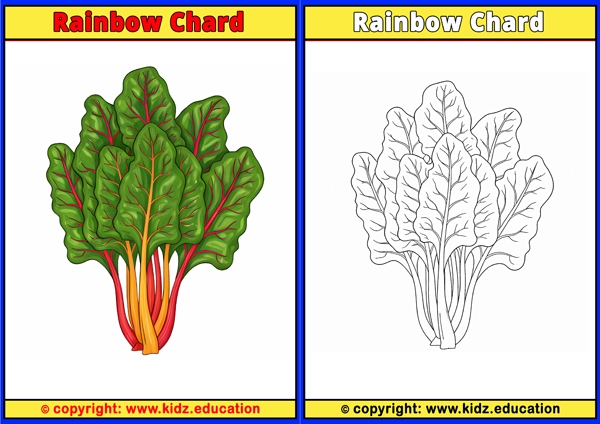 Rainbow Chard - Printable Coloring Page for Kids