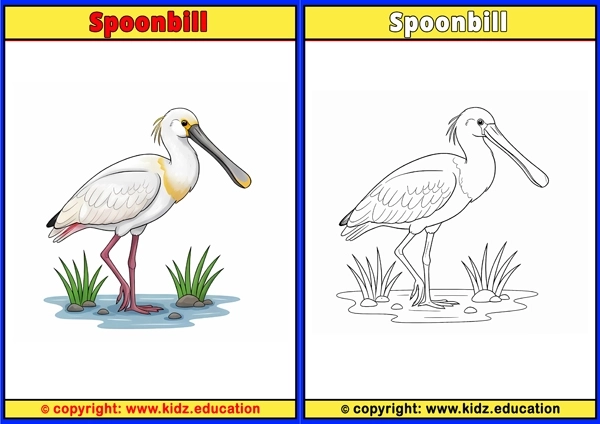 Starling - Printable Coloring Page for Kids