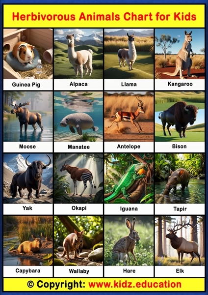 Herbivorous Animals Chart - 2 | Printable Educational Chart for Kids