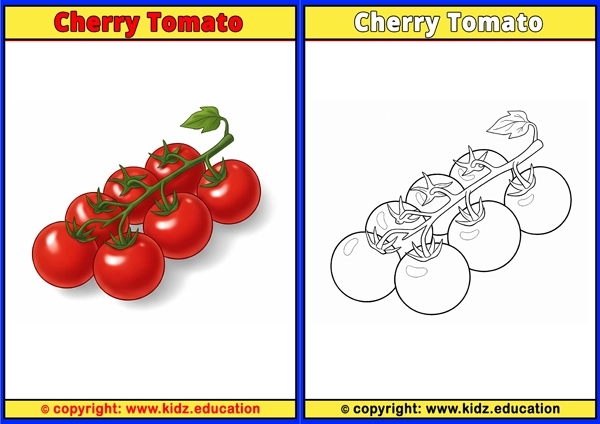 Cherry - Printable Coloring Page for Kids