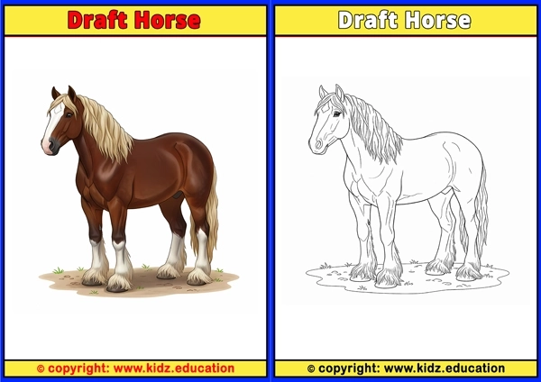 Draft Horse - Printable Coloring Page for Kids