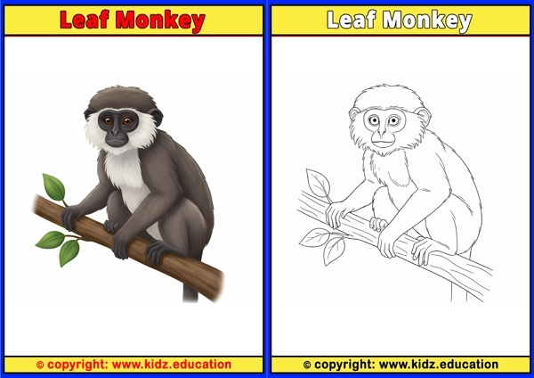 Leaf Monkey - Printable Coloring Page for Kids