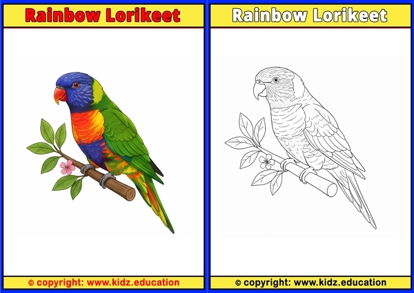 Raven - Printable Coloring Page for Kids