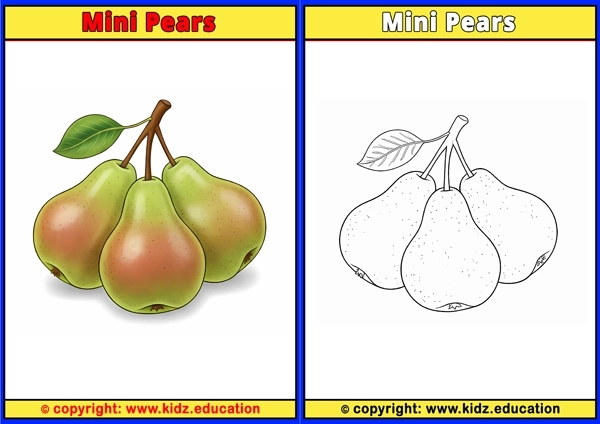 Mini Pears - Printable Coloring Page for Kids