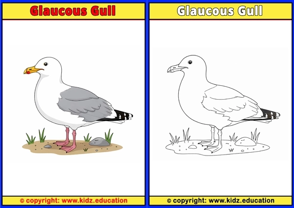 Golden Plover - Printable Coloring Page for Kids