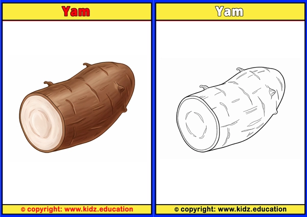 Yam - Printable Coloring Page for Kids