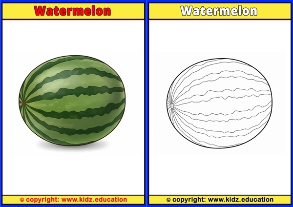 Watermelon - Printable Coloring Page for Kids