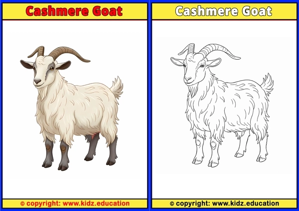 Cashmere Goat - Printable Coloring Page for Kids